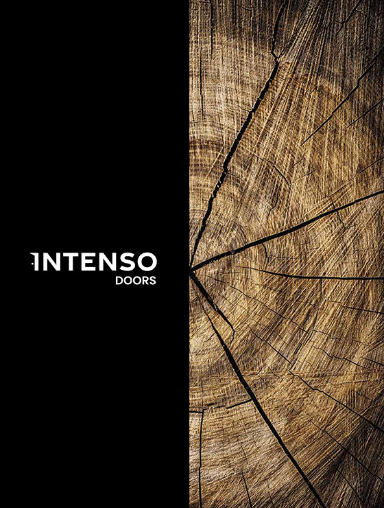 zdjęcie przedstawiające okładkę katalogu firmy intenso doors